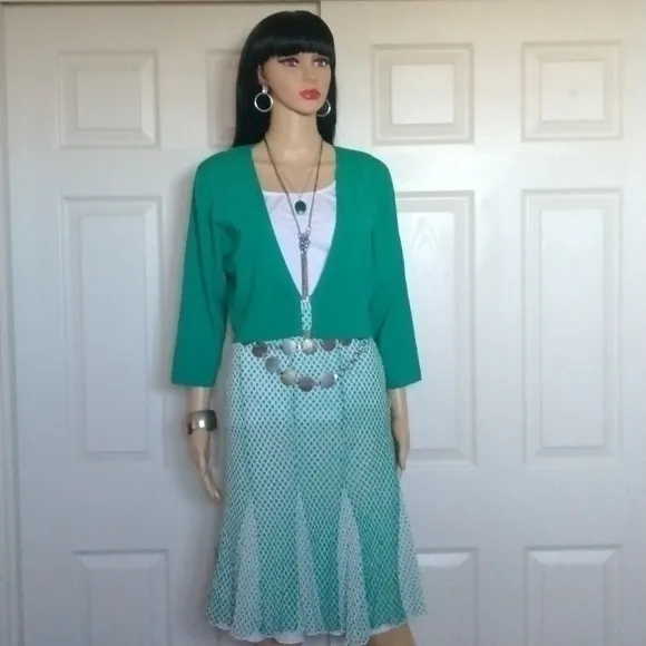 Alfani silk flare skirt and cropped sweater