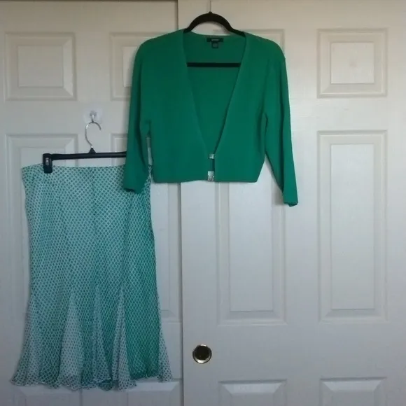 Alfani silk flare skirt and cropped sweater