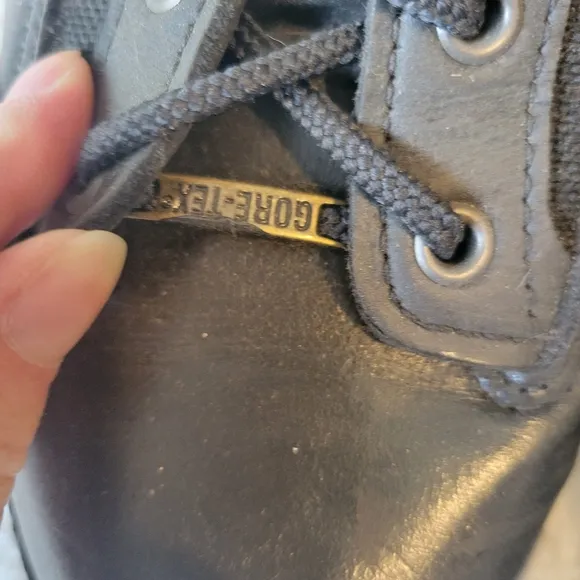 Danners Gore Tex Boots