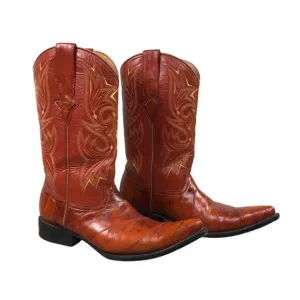 JE-VER Botas HandMade Cowboy Boots Men 10 Brown/Orange Embroidery Western Unique