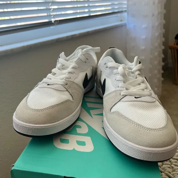 Nike Skateboard Shoes