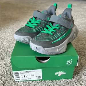 NWT Nike Kids Giannis Immortality 4 Basketball Shoes