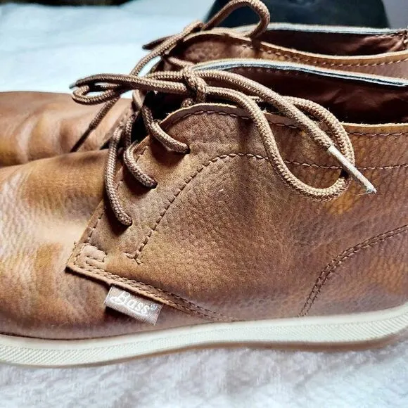 R,H, BASS Clayton Boots for men  Color Brown.size 9 Lightly used.