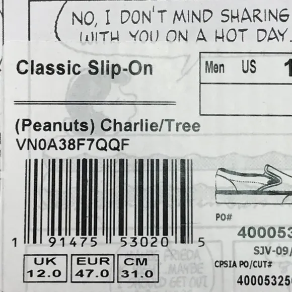Vans Classic Slip On Peanuts Charlie Tree Shoes