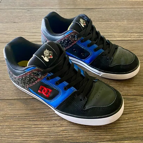 Vintage Y2K DC Men’s Pure Travis (PT) Pastrana Shoes Sz 10 Blue Black Squirrel